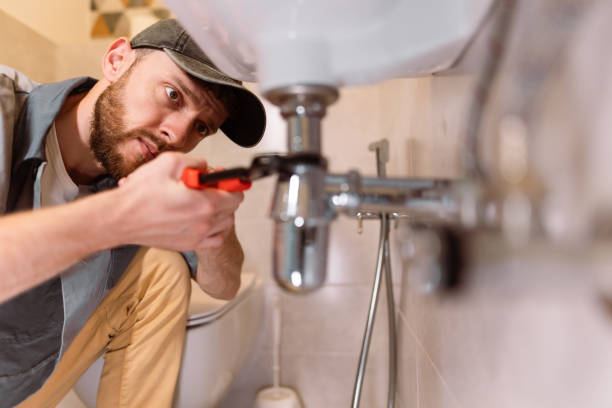 Best Local Plumber Services  in Homewood, IL