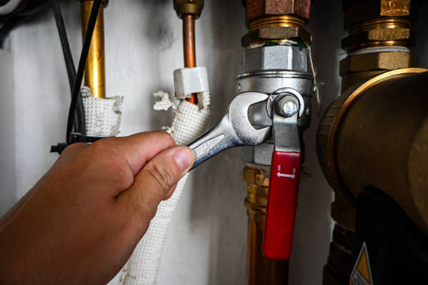 Best Emergency Plumber  in Homewood, IL